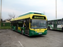 TEDOM C12 G